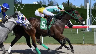 Samy Camacho cerca de conseguir esta hazaña por séptimo año consecutivo Samy Camacho cerca de conseguir esta hazaña por séptimo año consecutivo