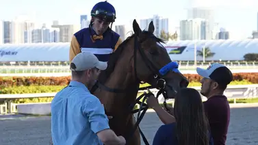 Irad Ortiz Jr va en busca de 4 stakes de Grado en una misma reunión hípica Irad Ortiz Jr va en busca de 4 stakes de Grado en una misma reunión hípica