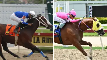 Mira este dato curioso que se vivirá el domingo en La Rinconada Mira este dato curioso que se vivirá el domingo en La Rinconada