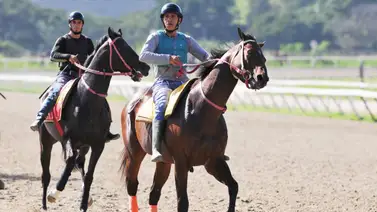 Conoce hace cuánto tiempo no corría un caballo importado en una prueba no selectiva en La Rinconada Conoce hace cuánto tiempo no corría un caballo importado en una prueba no selectiva en La Rinconada