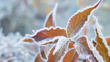 EEUU | ¿Qué tan frío serán el otoño e invierno en 2024? (+Detalles) EEUU | ¿Qué tan frío serán el otoño e invierno en 2024? (+Detalles)