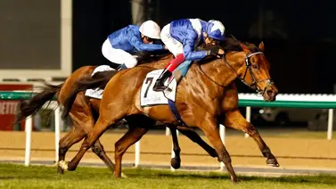 Se retira el único caballo 3 veces ganador de la Dubai Turf en Meydan Se retira el único caballo 3 veces ganador de la Dubai Turf en Meydan