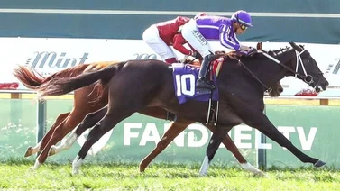 Mira cuántas victorias le faltan a Irad Ortiz Jr. para llegar a las 4.000 en Estados Unidos