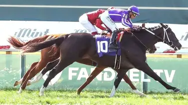 Mira cuántas victorias le faltan a Irad Ortiz Jr. para llegar a las 4.000 en Estados Unidos Mira cuántas victorias le faltan a Irad Ortiz Jr. para llegar a las 4.000 en Estados Unidos