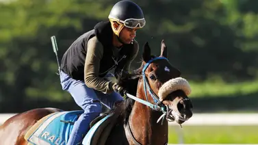 Esta es la yegua que para Deyker Acosta ya ganó la carrera en la reunión 37 Esta es la yegua que para Deyker Acosta ya ganó la carrera en la reunión 37