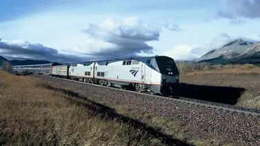 Viajes en tren Amtrak desde Chicago a Miami comienzan en noviembre (+Precios) Viajes en tren Amtrak desde Chicago a Miami comienzan en noviembre (+Precios)