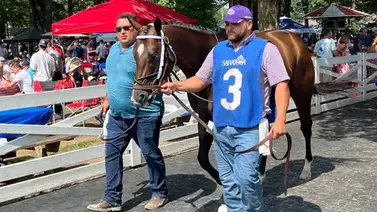 Subastarán acciones del caballo más rápido del mundo como semental Subastarán acciones del caballo más rápido del mundo como semental