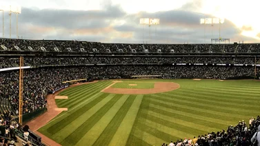 MLB: Fanáticos de Oakland se llevan las sillas del estadio como recuerdo de los Atléticos (+Video)