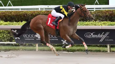 Jockey ganador del Eclipse Award esta cerca de las 3.000 victorias en Estados Unidos Jockey ganador del Eclipse Award esta cerca de las 3.000 victorias en Estados Unidos