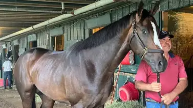 Potrazo de Gustavo Delgado de $1.300.000 buscará pase a la Breeders´Cup Potrazo de Gustavo Delgado de $1.300.000 buscará pase a la Breeders´Cup