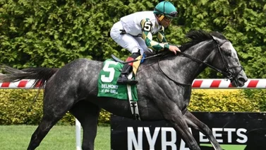 Aquí está el Best Bet y los Picks Belmont At The Big A 26-09-2024