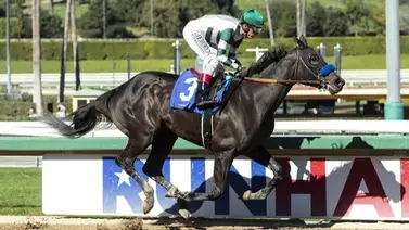 Yegua que produjo $2.000.000 es retirada de las pistas Yegua que produjo $2.000.000 es retirada de las pistas