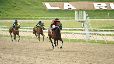 Yegua lógica para ganar ajusta “clavo” para esta carrera en la reunión 37