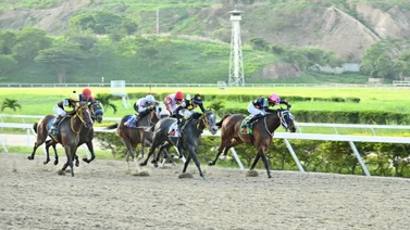 Yegua que desde su debut es dato ajusta bien y pudiera ser la sorpresa en la primera del 5y6 