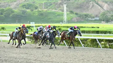 Yegua que desde su debut es dato ajusta bien y pudiera ser la sorpresa en la primera del 5y6  Yegua que desde su debut es dato ajusta bien y pudiera ser la sorpresa en la primera del 5y6
