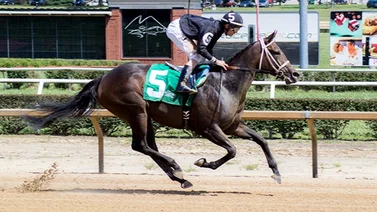Jockey venezolano cumple su mejor temporada en Estados Unidos en los últimos diez años