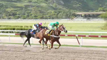 Mira el ajuste de esta yegua que de ganar puede tumbar los cuadros del 5y6 Mira el ajuste de esta yegua que de ganar puede tumbar los cuadros del 5y6