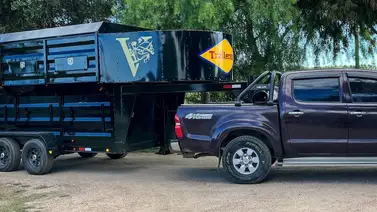 Un caballo muerto en un choque de autos el fin de semana en Estados Unidos Un caballo muerto en un choque de autos el fin de semana en Estados Unidos