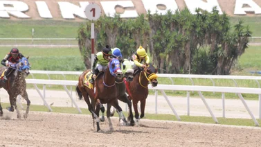 Conoce el ajuste de esta favorita de Gaceta Hípica en una de las válidas del 5y6 en la Rinconada