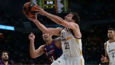 Liga Endesa: ¿Qué equipo es el favorito al título? Liga Endesa: ¿Qué equipo es el favorito al título?