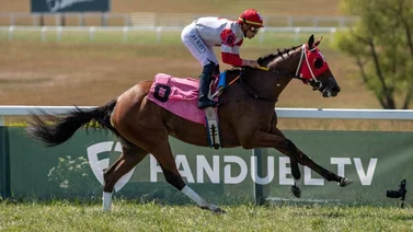 Irad Ortiz Jr. no montará este jueves en el hipódromo de Belmont por este motivo