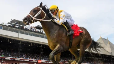 Javier Castellano montará a este ejemplar para la Breeders’ Futurity 