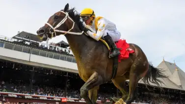 Javier Castellano montará a este ejemplar para la Breeders’ Futurity Javier Castellano montará a este ejemplar para la Breeders’ Futurity