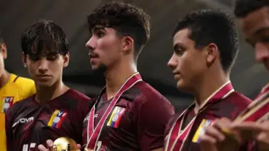 ¿Lo extrañará la Vinotinto? Alejandro Gomes se luce en el fútbol francés (+Video) ¿Lo extrañará la Vinotinto? Alejandro Gomes se luce en el fútbol francés (+Video)