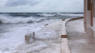 Videos del Huracán Helene ya muestran los estragos que está causando en Tampa