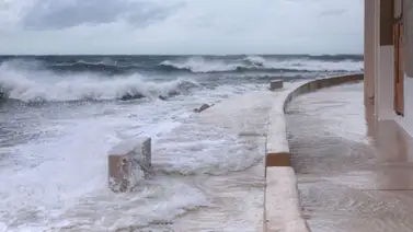 Videos del Huracán Helene ya muestran los estragos que está causando en Tampa Videos del Huracán Helene ya muestran los estragos que está causando en Tampa