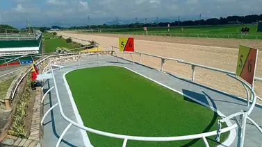 Valencia tiene su primer retirado del 5y6 de la reunión 19 del sábado Valencia tiene su primer retirado del 5y6 de la reunión 19 del sábado