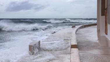 Helene se degrada a tormenta tropical pero deja 20 muertos a su paso por Estados Unidos