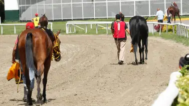 Se presentan dos nuevos retiros en la cuarta válida del 5y6 nacional de la jornada dominical en La Rinconada Se presentan dos nuevos retiros en la cuarta válida del 5y6 nacional de la jornada dominical en La Rinconada