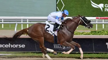 Entrenador venezolano logra su victoria número 100 del año en Estados Unidos Entrenador venezolano logra su victoria número 100 del año en Estados Unidos