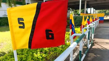 Más de $7.900 pagaron los cuadros con 6 en Valencia Más de $7.900 pagaron los cuadros con 6 en Valencia