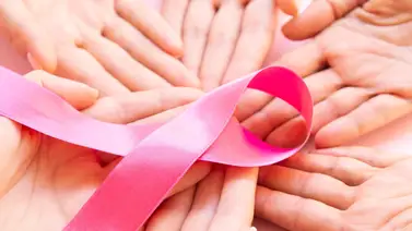 Lazo rosa: ¿Cuál es el origen de este icónico símbolo sobre el cáncer de mama? Lazo rosa: ¿Cuál es el origen de este icónico símbolo sobre el cáncer de mama?