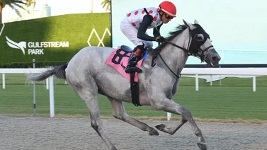 Jaramillo duplicó con buen dividendo la jornada de hoy en Gulfstream Park 