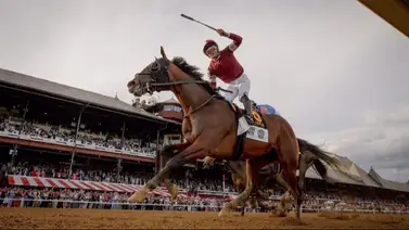 Dornoch es retirado de las pistas por esta razón Dornoch es retirado de las pistas por esta razón