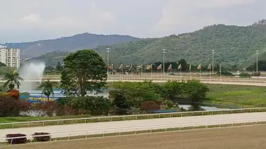 Estos son los retirados de la Reunión N°37 en La Rinconada 29-09-2024 Estos son los retirados de la Reunión N°37 en La Rinconada 29-09-2024