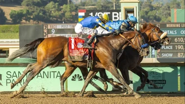 Estos ejemplares suramericanos clasifican para la Breeders’ Cup 2024