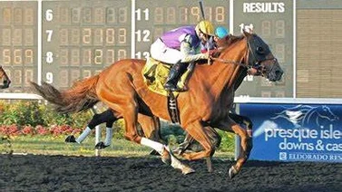 Suspendido entrenador por agredir a jockey luego de una carrera en Estados Unidos