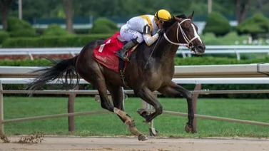 Conoce quién sustituye a Castellano en el potro de Gustavo Delgado que correrá stakes Grado 1