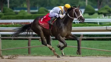 Conoce quién sustituye a Castellano en el potro de Gustavo Delgado que correrá stakes Grado 1 Conoce quién sustituye a Castellano en el potro de Gustavo Delgado que correrá stakes Grado 1