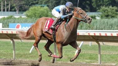 Aprendiz venezolano nombrado jockey de la semana en este hipódromo