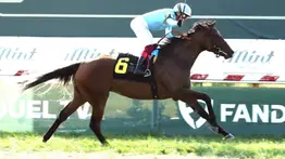 Tres stakes de Grado que clasifican a las Breeders´Cup el viernes abriendo este meeting