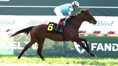 Tres stakes de Grado que clasifican a las Breeders´Cup el viernes abriendo este meeting Tres stakes de Grado que clasifican a las Breeders´Cup el viernes abriendo este meeting