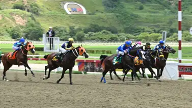 La Junta de Comisarios de La Rinconada sanciona a destacado jinete profesional La Junta de Comisarios de La Rinconada sanciona a destacado jinete profesional