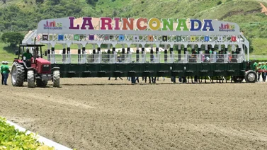 Conoce el motivo por el que un jinete aprendiz fue multado en La Rinconada