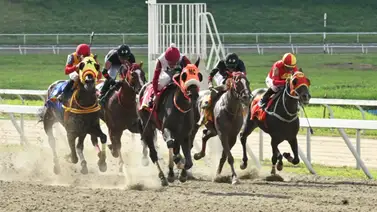 Mira lo que le ocurrió al ejemplar Galopante considerado uno de los fijos de la reunión 33 de carreras Mira lo que le ocurrió al ejemplar Galopante considerado uno de los fijos de la reunión 33 de carreras