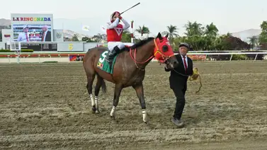 Tuco Salamanca luce recuperado y ya se encuentra en la cancha de La Rinconada Tuco Salamanca luce recuperado y ya se encuentra en la cancha de La Rinconada